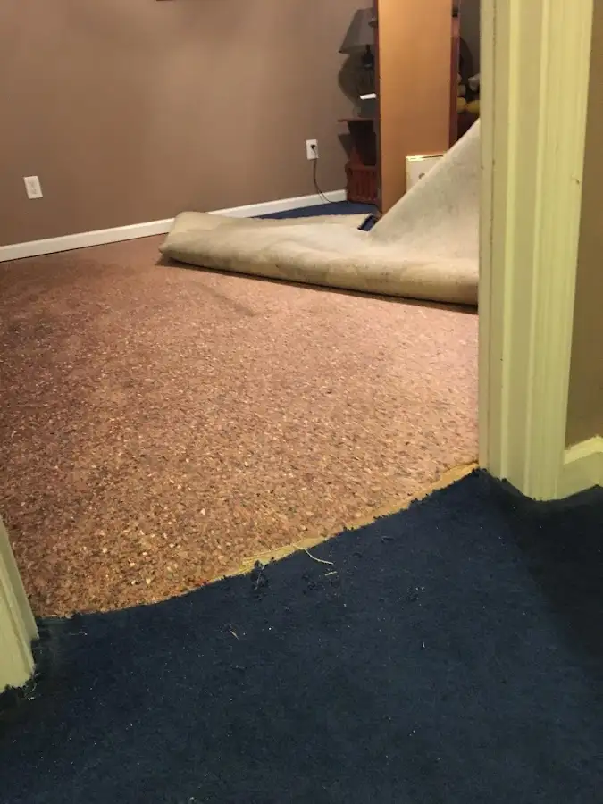 Carpet pad removal revealing water damage during Water Mitigation Services in Sedalia