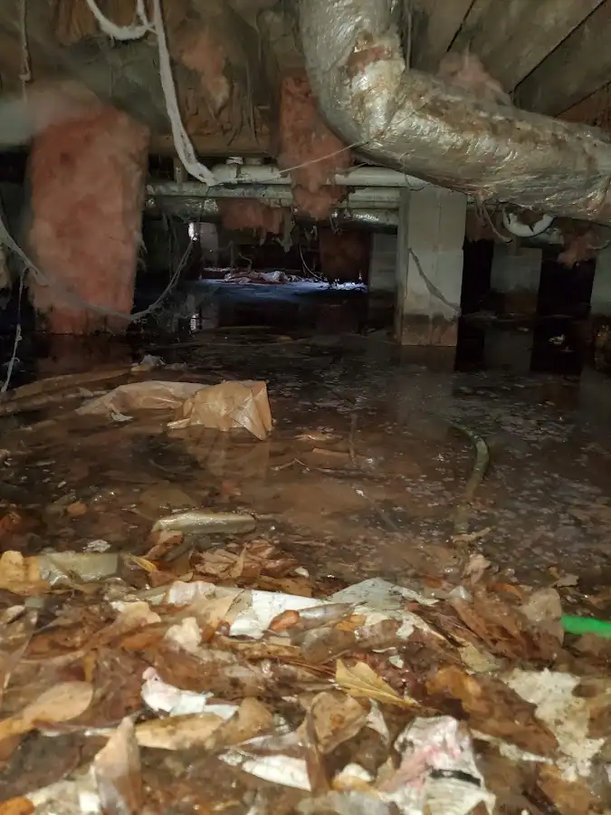 Crawl space flood assessment for Leak Detection & Repair in Sedalia